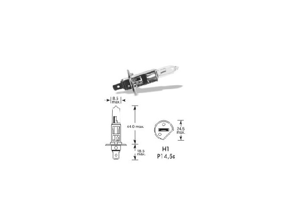 H1 24V 100W
