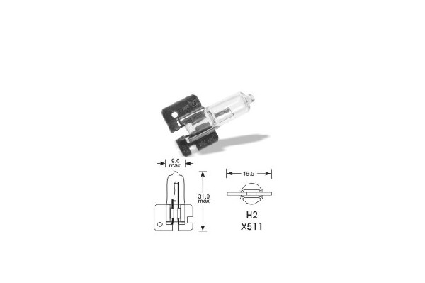 H2 12V 100W