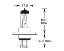 H4 12V 100/80W